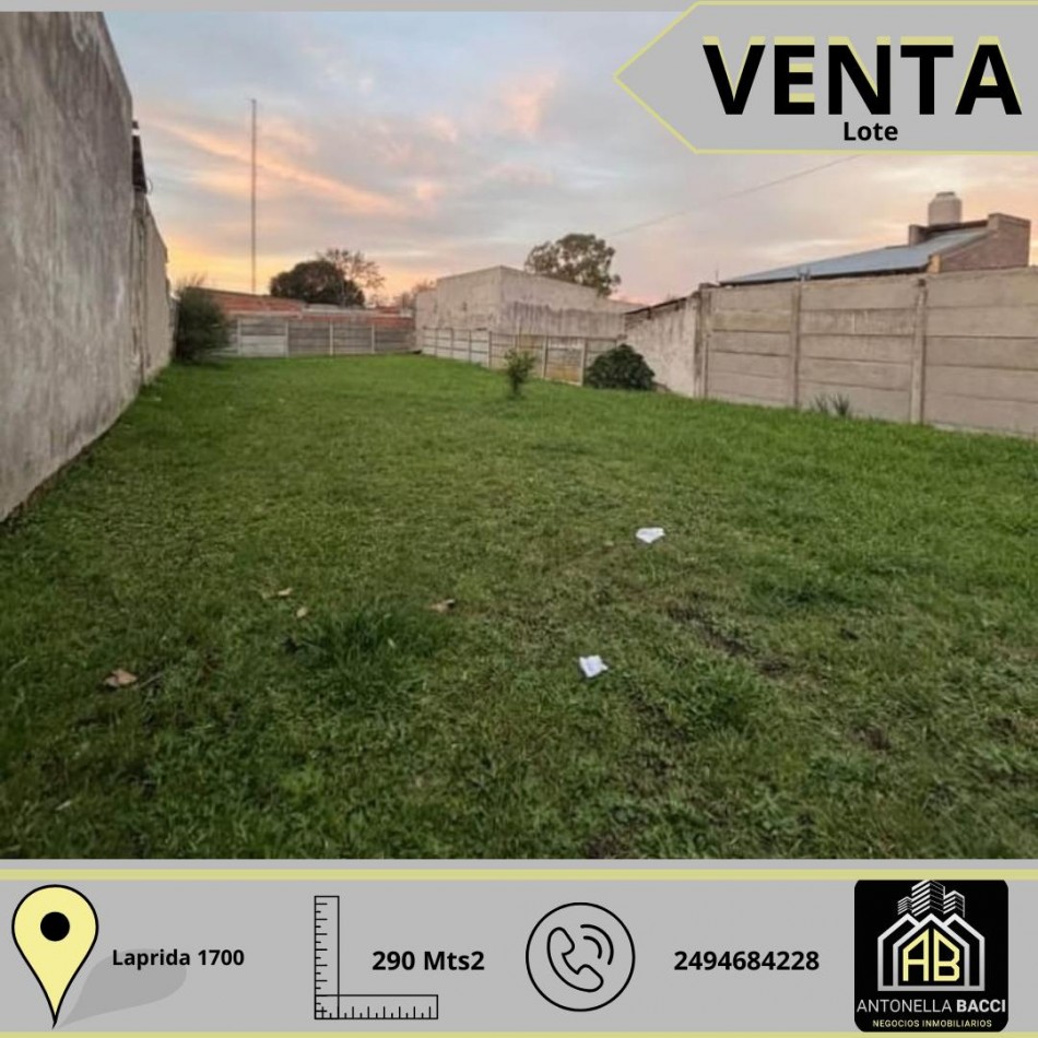 Lote